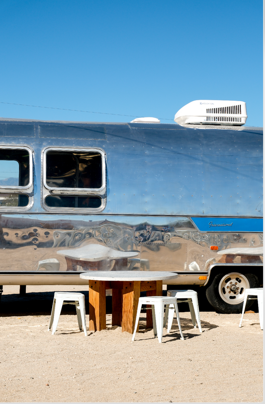 Domingo in Joshua Tree: Desert Stop