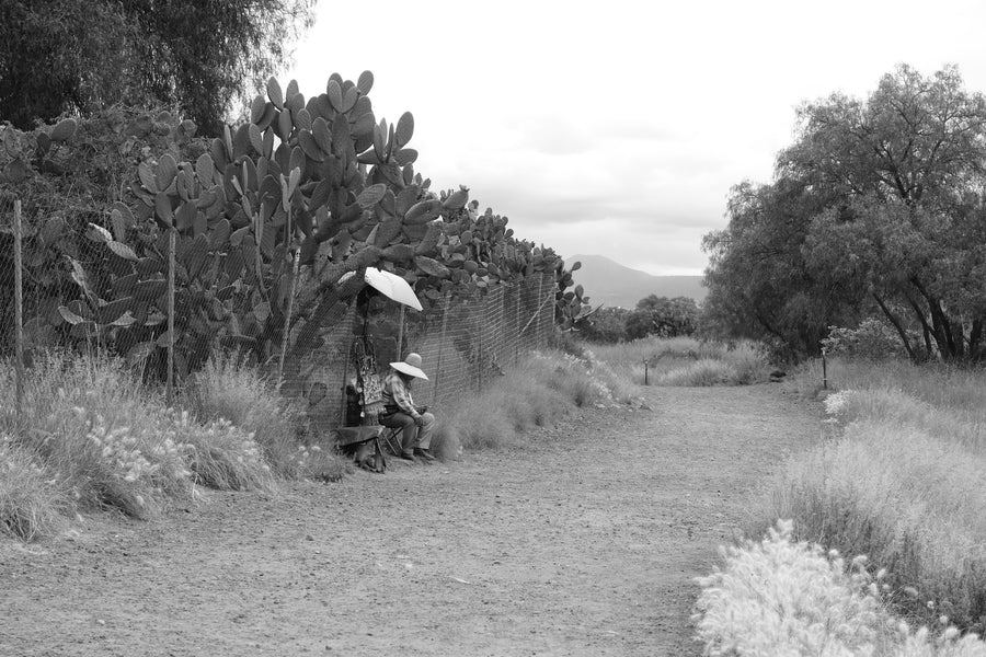 Domingo in Teotihuacan