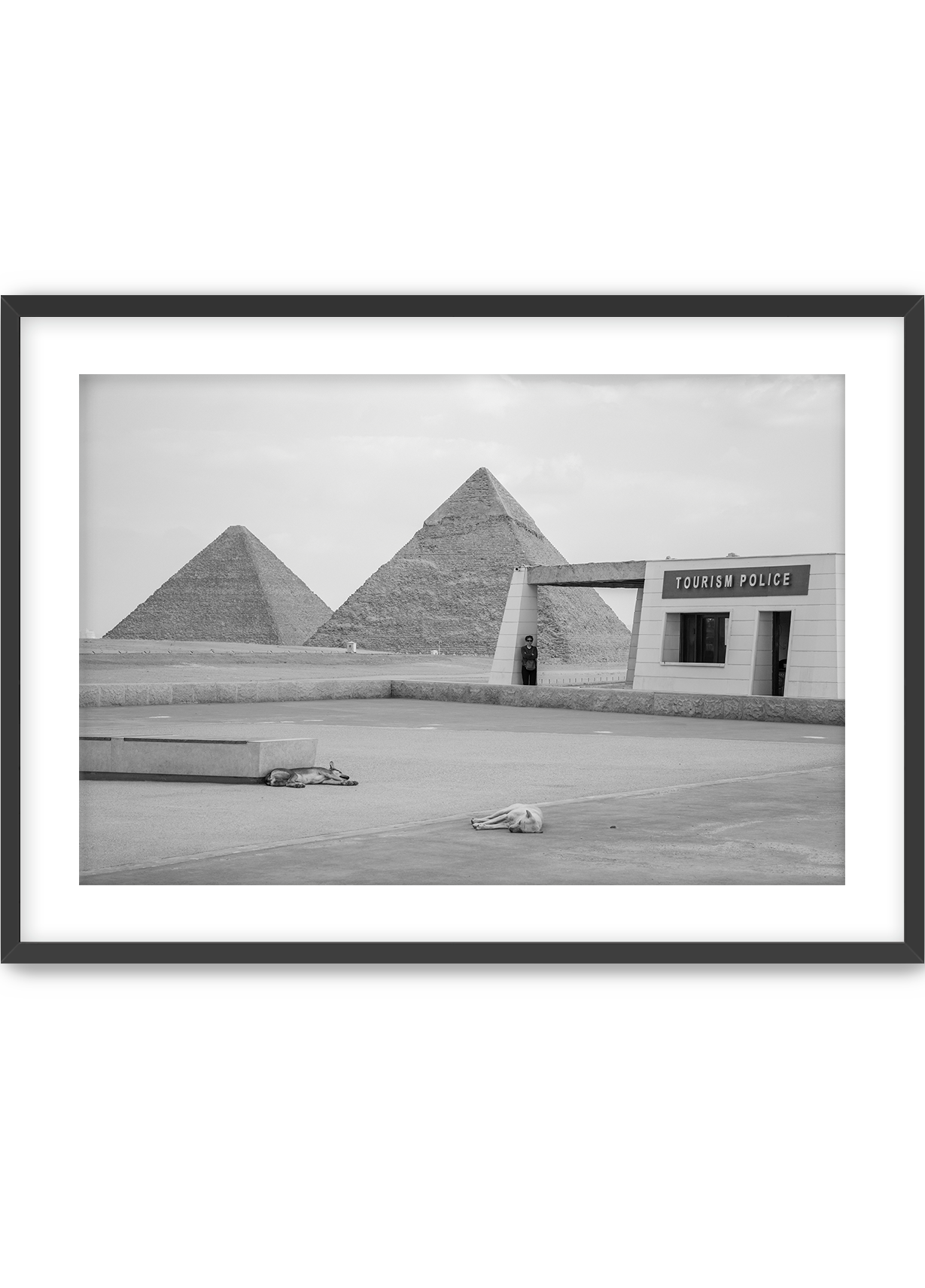 Domingo in Giza: Siesta