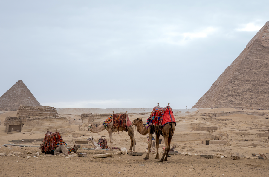 Domingo in Giza: Sukoon