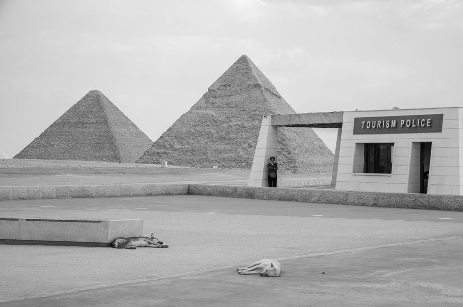 Domingo in Giza: Siesta