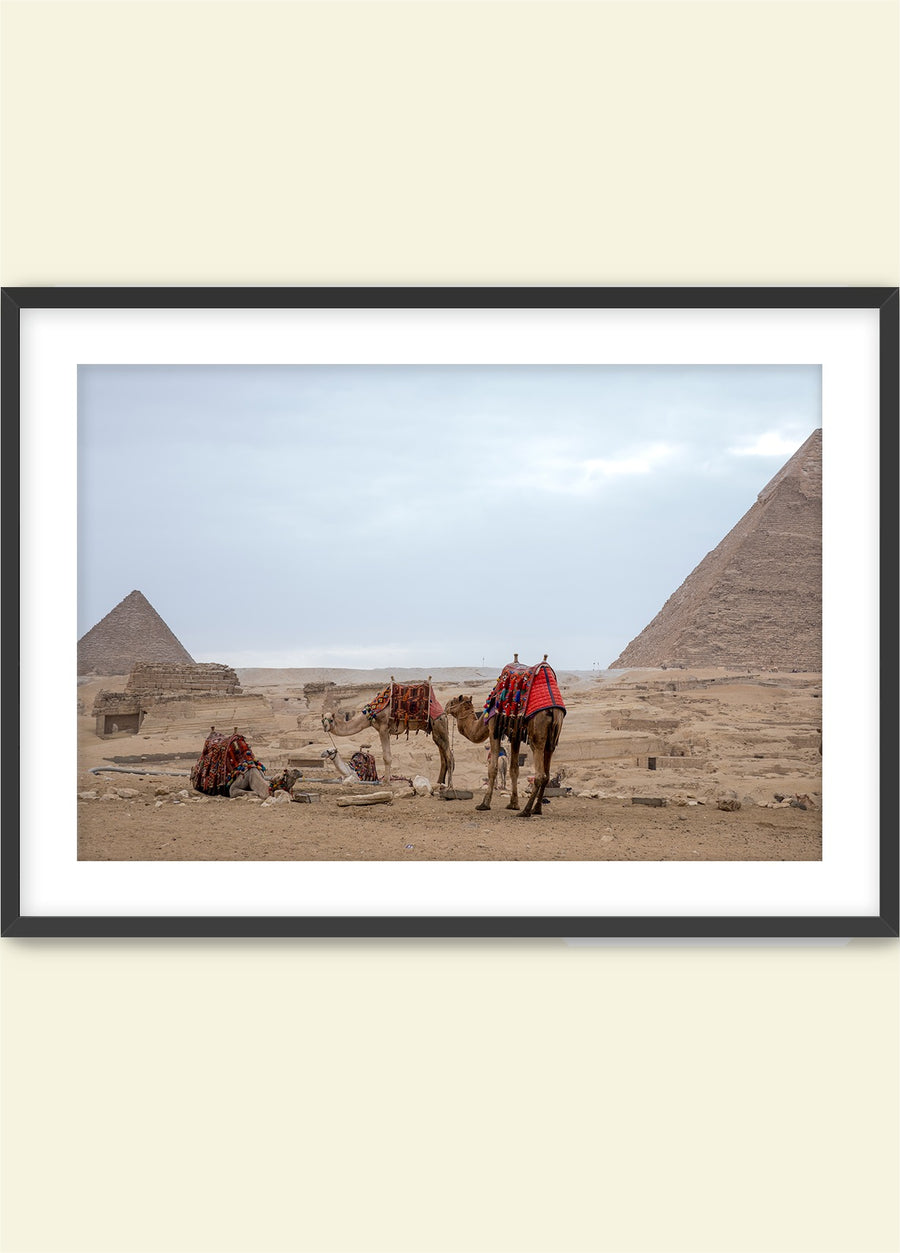 Domingo in Giza: Sukoon